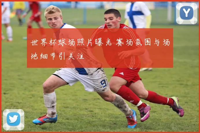 世界杯球场照片曝光 赛场氛围与场地细节引关注